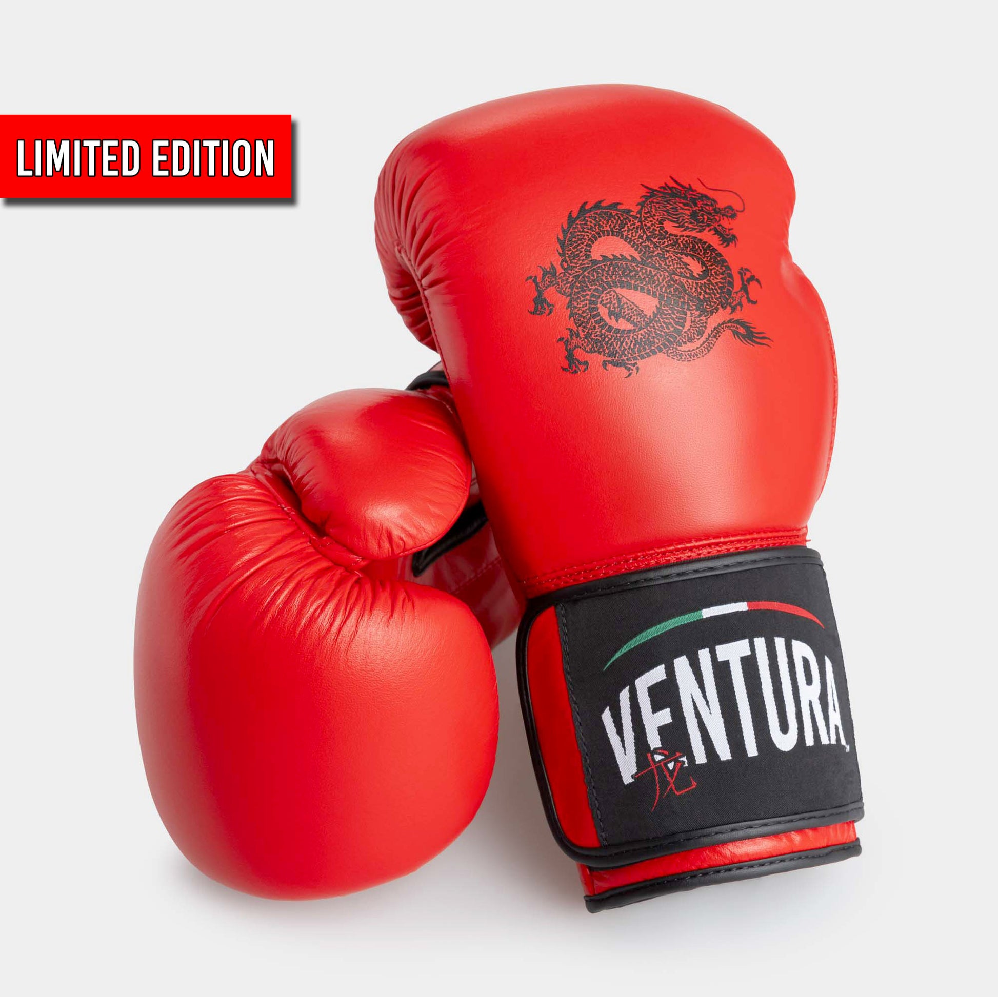 GUANTONI BOXE IN VERA PELLE - DRAGON