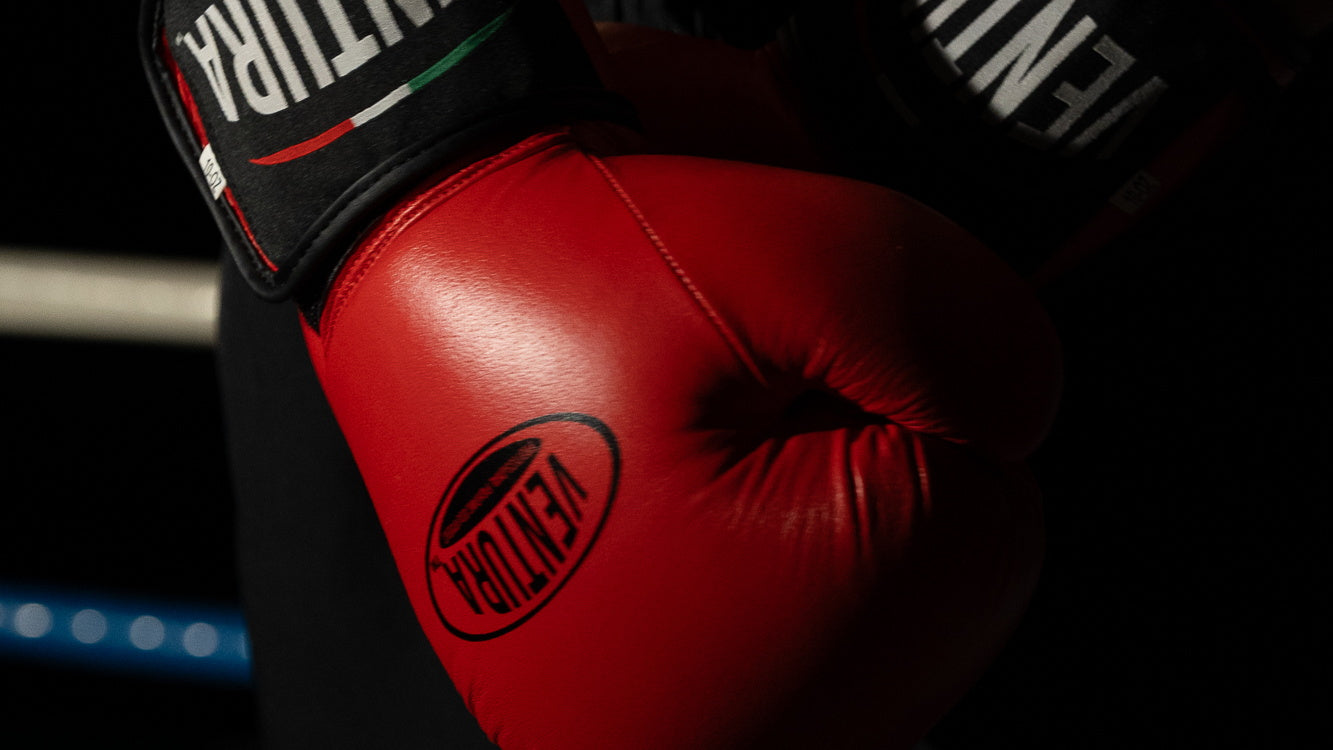 Migliori guantoni da boxe per principianti