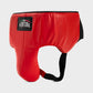 GENUINE LEATHER BOXING GLOVES AND FACE BAR HEADGEAR WITH GROIN GUARD - RED