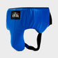 GENUINE LEATHER BOXING GLOVES AND FACE BAR HEADGEAR WITH GROIN GUARD - BLUE