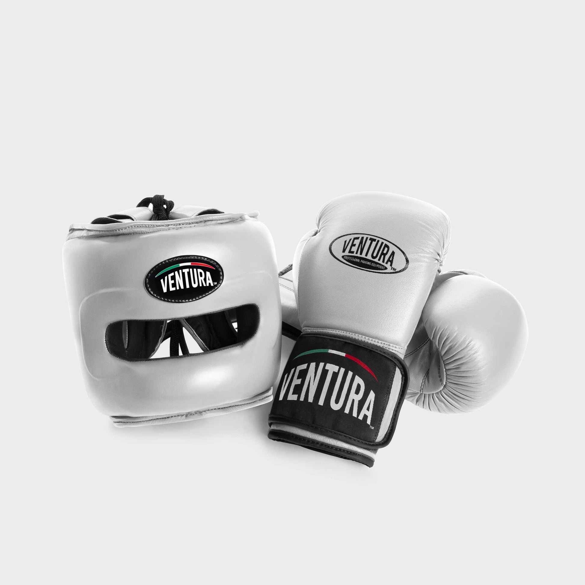 GENUINE LEATHER BOXING GLOVES AND FACE BAR HEADGEAR - SILVER