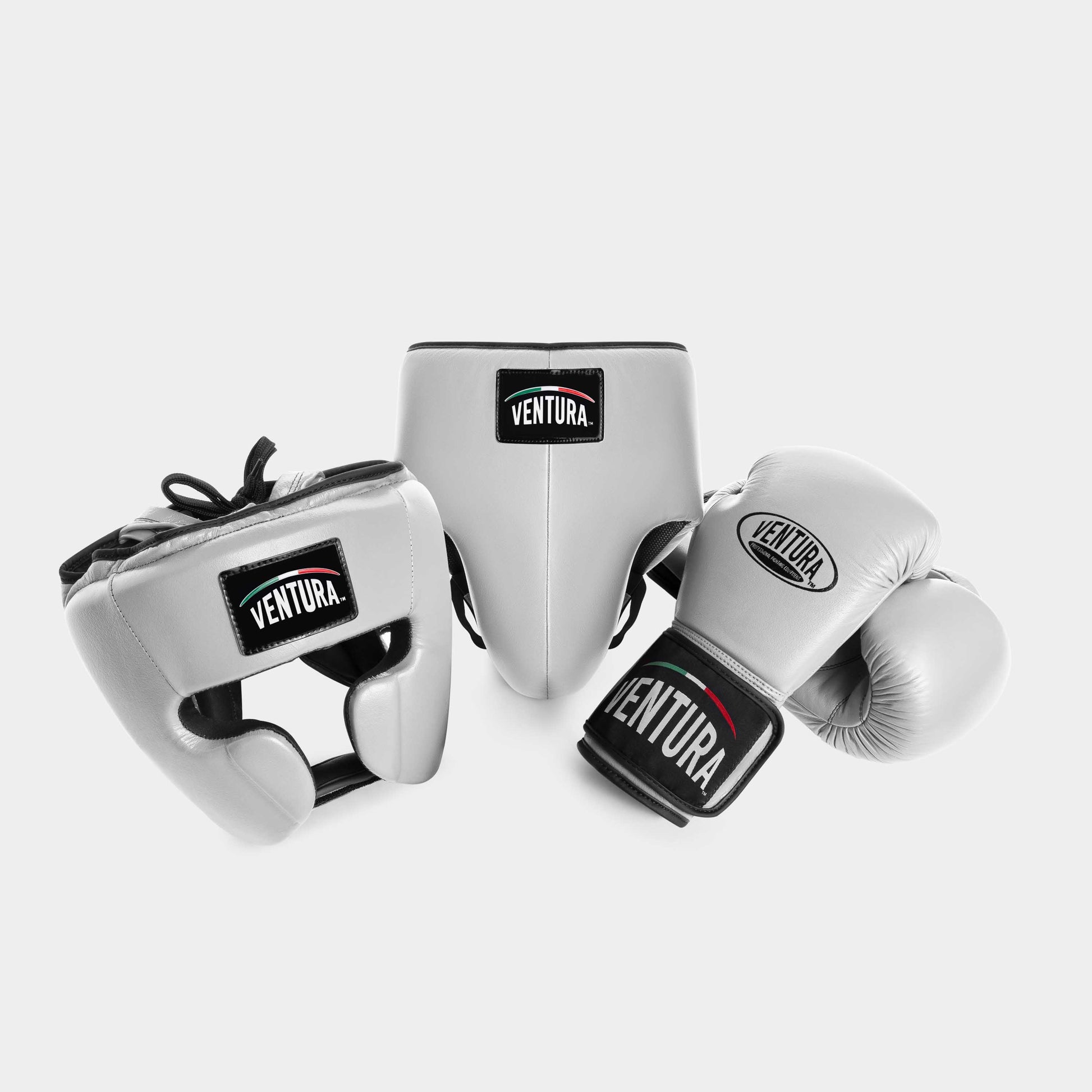 GENUINE LEATHER BOXING GLOVES AND HEADGEAR WITH GROIN GUARD - SILVER